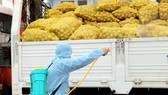 Lập tổ công tác chỉ đạo sản xuất nông sản – thực phẩm tại miền Nam
