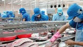 Một doanh nghiệp “3 tại chỗ” kêu cứu Bộ trưởng Bộ NN-PTNT