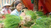 Đề nghị nhân rộng mô hình “tổ công tác” về nông sản tại miền Nam