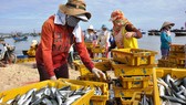 Đề nghị EC không tính các tàu khai thác ở vùng chồng lấn là tàu vi phạm IUU
