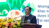 Người dân đang làm giàu nhờ phát triển các sản phẩm dưới tán rừng ngoài gỗ