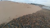 Khu vực bãi đá 7 màu và bãi rêu Bình Thuận bị xâm hại.