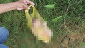 Cháu bé được 2 công an xã phát hiện đang khóc trong bịch ni lông.