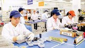 Workers at Misumi Group Company in Linh Trung export processing zone, HCMC (Photo: SGGP)