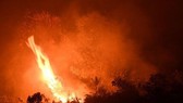 Forest fire in Riau province of Indonesia (Photo: AFP)