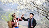 Sắc màu chợ phiên Mèo Vạc