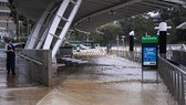 Cảnh ngập lụt sau mưa lớn tại cảng Parramatta ở Sydney, Australia, ngày 20-3-2021. Ảnh: THX/TTXVN