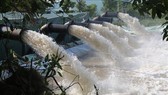 Huyện Gò Công, Tiền Giang triển khai hàng trăm điểm bơm chuyền trữ nước ngọt phục vụ sản xuất và đời sống, phòng chống hạn bảo vệ lúa. Ảnh: TTXVN