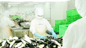 Thiếu chủ động, doanh nghiệp nguy cơ mất thị phần xuất khẩu