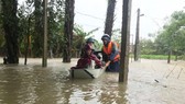 Lực lượng chức năng ở xã Thạch Đài (huyện Thạch Hà, tỉnh Hà Tĩnh) giúp đưa người lớn tuối đến nơi tránh trú an toàn