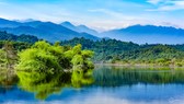 Một góc Vườn Quốc gia Vũ Quang. Ảnh: vuonquocgiavuquang
