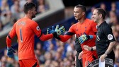 Michel Vorm (phải) trở lại một lần nữa để thay thế Hugo Lloris. Ảnh: Getty Images
