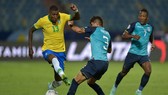 Brazil đã bất ngờ bị chặn đứng mạch thắng khi họ để Ecuador dưới cơ thủ hòa.