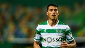 Pedro Porro đã thấy cơ hội phát triển tại Sporting Lisbon.