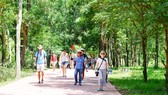 Khách nước ngoài tham quan quần thể di sản Mỹ Sơn