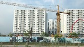 Sắp tới, các công trình xây dựng từ 9 tầng trở lên phải sử dụng tối thiểu 80% VLXKN Ảnh: HUY ANH