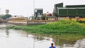 Nhà máy nằm sát bên sông Đồng Nai Ảnh: THÀNH TRÍ