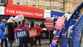 Cư dân London ngày 22-11 tuần hành yêu cầu công bố các điều khoản cuộc đàm phán Brexit Ảnh: EPA