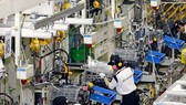 TPHCM dẫn đầu về đơn đăng ký xác lập quyền sở hữu công nghiệp