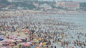 Bà Rịa - Vũng Tàu: Cứu 339 người lọt ao xoáy khi tắm biển