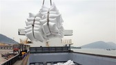 60 tấn gạo Việt Nam đầu tiên vào Anh theo UKVFTA