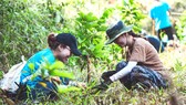 Bạn trẻ tham gia trồng rừng ở Đắk Nông do JOY và nhóm “Trồng 1 triệu cây rừng 1 năm” tổ chức