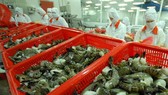 Xuất khẩu tôm và cá tra đang phục hồi ở thị trường Mỹ