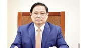 Thủ tướng Phạm Minh Chính điện đàm với Thủ tướng Đức Angela Merkel