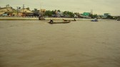 Hậu Giang cập nhật độ mặn qua điện thoại