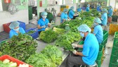 Thực phẩm sạch vẫn khó tiếp cận nhà hàng, khách sạn