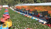 Điểm du lịch canh nông “Vườn thượng uyển bay”