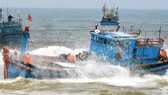 Kịp thời ứng cứu 8 thuyền viên trên tàu cá bị chìm