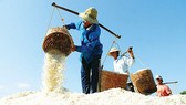 Phê duyệt đề án phát triển ngành muối giai đoạn 2021 - 2030