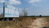 Đánh thuế nặng hoặc trưng mua nhà, đất bỏ hoang