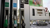 Italy: Bắt giữ hàng chục đối tượng mafia