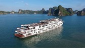 Cách ly y tế 182 người trên du thuyền 5 sao tham quan vịnh Hạ Long