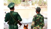 Phối hợp ngăn chặn các trường hợp nhập cảnh trái phép