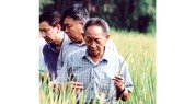 Vĩnh biệt cha đẻ “cây lúa cao hơn đầu người”