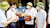 Thương mại điện tử vào cuộc tiêu thụ nông sản