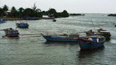 Khai thác thủy hải sản tận diệt trên đầm Đề Gi