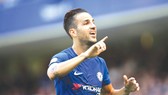 Cesc Fabregas mừng bàn thắng vào lưới Everton