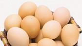 120 DN từ 30 nước tham gia hội nghị về trứng gia cầm tại Việt Nam