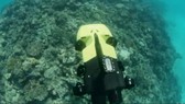 Australia sử dụng robot bảo vệ rạn san hô