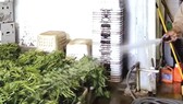 Bán tạp hóa ở Mỹ