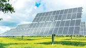 Pin mặt trời kiểu mới