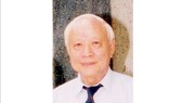 Giáo sư toán học Đặng Đình Áng