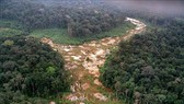 Khoảng rừng Amazon bị chặt phá tại Brazil. Ảnh: AFP/TTXVN