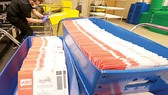 Các lá phiếu bầu cử qua thư ở Mỹ đang chờ được phân loại và chuyển đi. Ảnh: AP