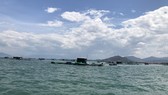 Phát triển nghề nuôi thủy sản trên biển Khánh Hòa