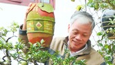 Kỳ vọng cây độc lạ đón tết